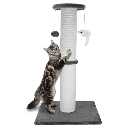 Ahomdoo Cat Scratching Post Review: Is This 34-Inch Tower Worth It?