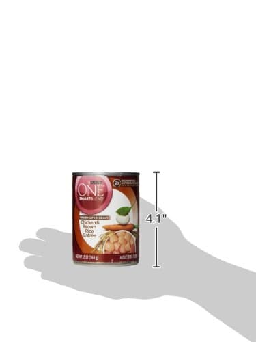 Purina ONE Natural High Protein Dog Food, Tender Cuts in Gravy Chicken and Brown Rice Entrée - 13 Ounce (Pack of 12)