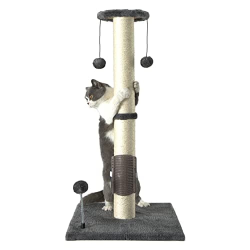 Post para Rascar Gatos PEEKAB 32" – Análisis Completo