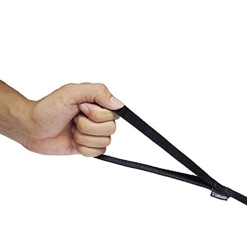 Siumouhoi Strong Durable Nylon 10ft Long Dog Training Leash, Traction Rope, 1 Inch Wide, for Small and Medium Dog (Black, 10 Feet)
