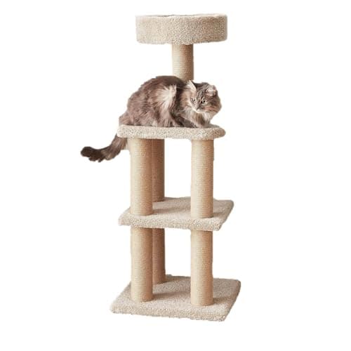 Arbre à Chat Amazon Basics – Test Complet & Avis 2024
