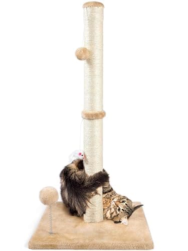 Rascador para Gatos ANWA 32" – Análisis Completo 2025