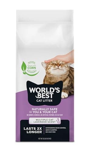 Litière Chat Worlds Best Lavande : Mon Avis et Test Complet