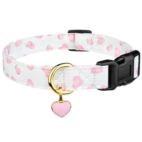 Katoenen Hondenband Review – FYEQYAOU Hartjes Halsband Getest