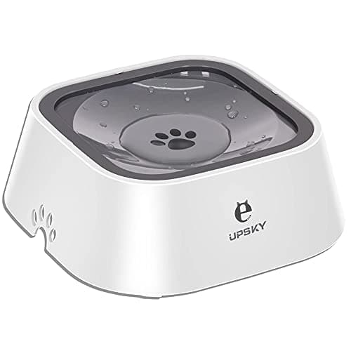 UPSKY Spillsäker Vattenskål Recension – Test av No-Spill Kattskål 2024