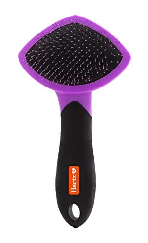 Hartz Groomer's Best Small Slicker Brush Review – Eerlijke Test