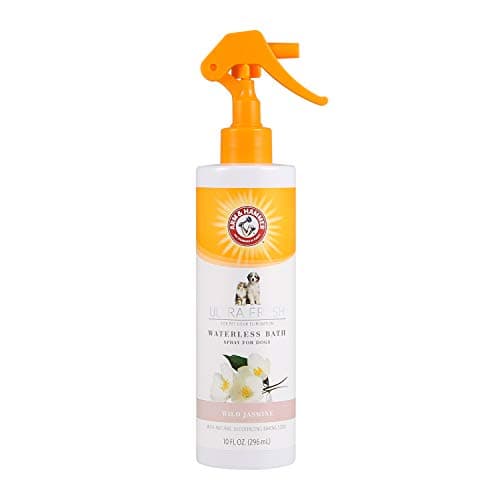 Spray Nettoyant Sec Arm & Hammer Ultra Fresh : Mon Test Complet