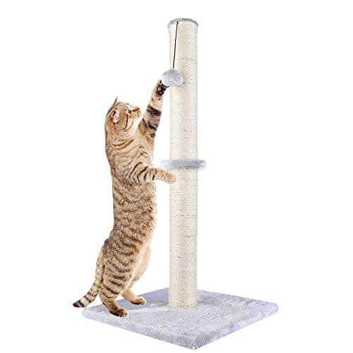 Dimaka 29" Tall Cat Scratching Post Review – Full Stretch Design Tested