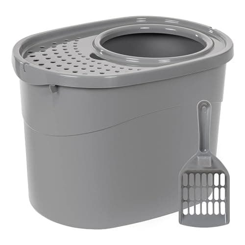 Amazon Basics Top Entry Cat Litter Box Review – Is It Worth It?