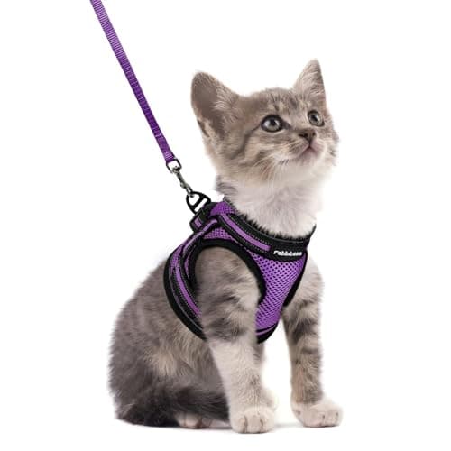 rabbitgoo Kattenharnas Review: Ontsnappingsproof en Comfortabel?