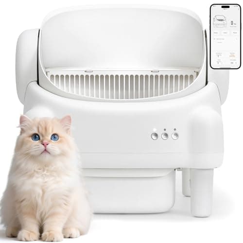 Ovesong Automatisk Kattslitterbox – Recension & Test 2024