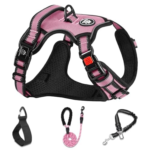 NESTROAD Dog Harness Review – Is This No-Pull Harness Worth It?