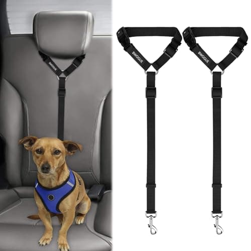 Autositzgurt Katze & Hund Test – BWOGUE 2er Set Sicherheitsgurt Review 2024