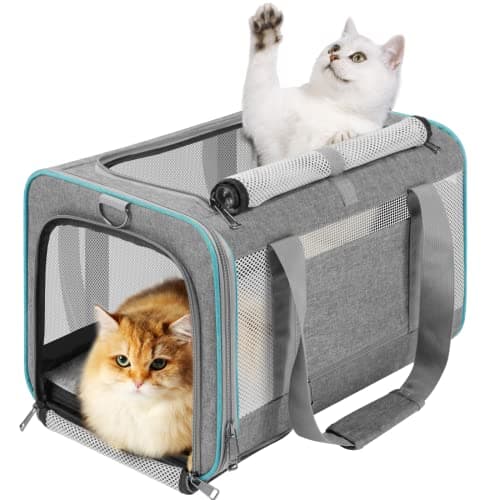 GAPZER kattbur recension – pålitlig mjuk resebur för stora katter