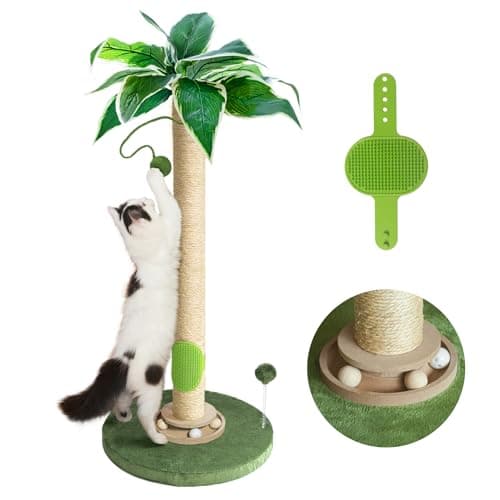 Fantasreen Poteau Griffoir Chat 33 Pouces – Notre Avis Complet