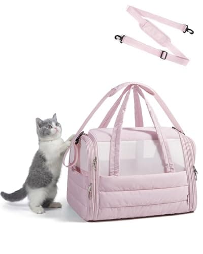 Transportín para Gatos BAGSMARK Review 2025: ¿值得买吗？