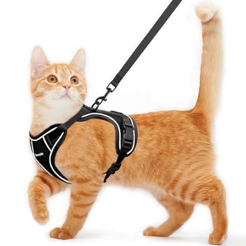 Kaazylab Kattenharnas Review: Escape-Proof En Comfortabel?