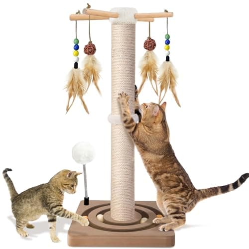 PAROTO Cat Scratching Post Review – Sisal Cat Tree Worth Buying?