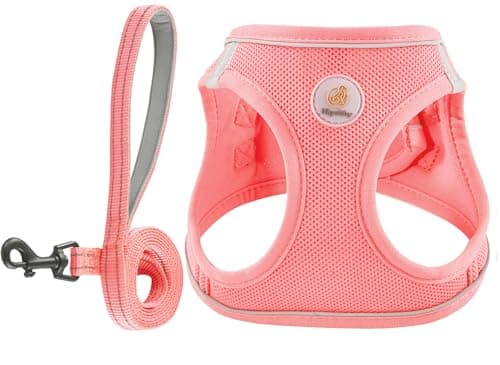 Hipubby Hundsele Recension – Är Selen Värt Pengarna?