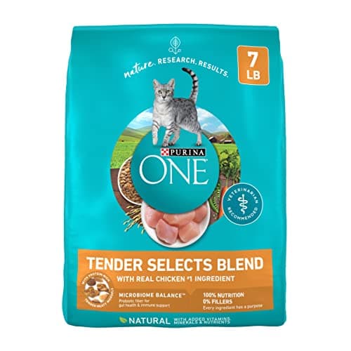 Purina ONE Tender Selects Dry Cat Food Review – Real Chicken Formula