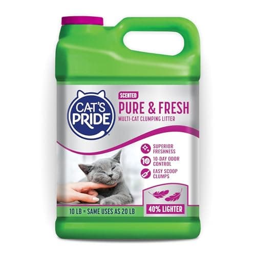 Cat's Pride Premium Leichtstreu Test: 40 % leichter & Geruchskontrolle