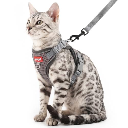pangdi kattenharnas review: lichtgewicht en ontsnappingsproof?
