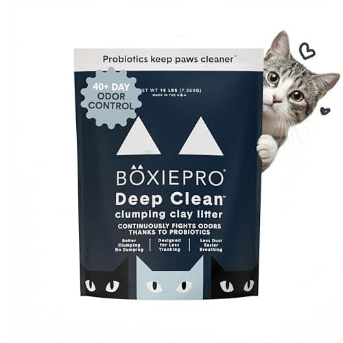 Boxie Pro : Notre Test Complet de la Litière Chat Probiotique