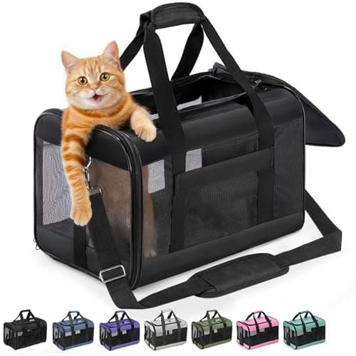 Conlun Katzenbox Test: Die beste faltbare Transportbox für Katzen?