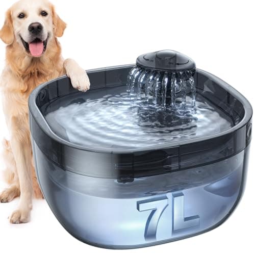 FEELNEEDY Hund Vattenfontän Test – 7L Automatisk Vattenautomat för Hundar