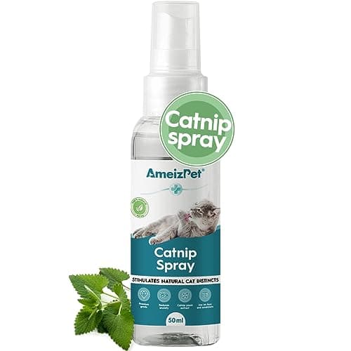 Avis Spray Catnip AmeizPet : Mon Chat Devient Fou ?