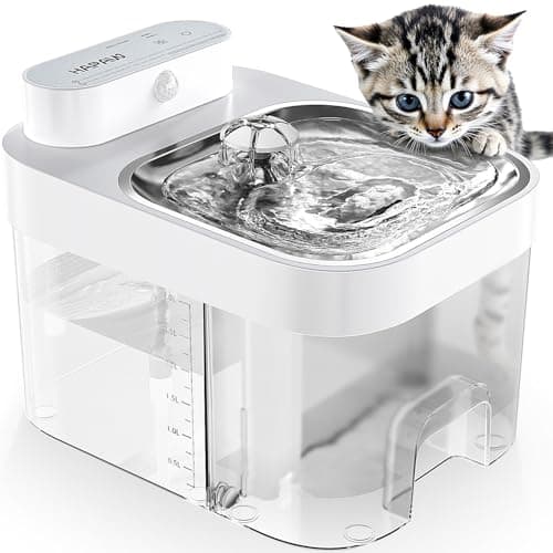 Fontaine à Eau pour Chat HAPAW : Test et Avis Complet 2025