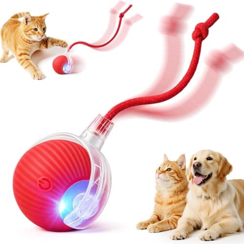SilveWillo Automatic Cat Ball Toy Review: Honest Verdict After 30-Day Test