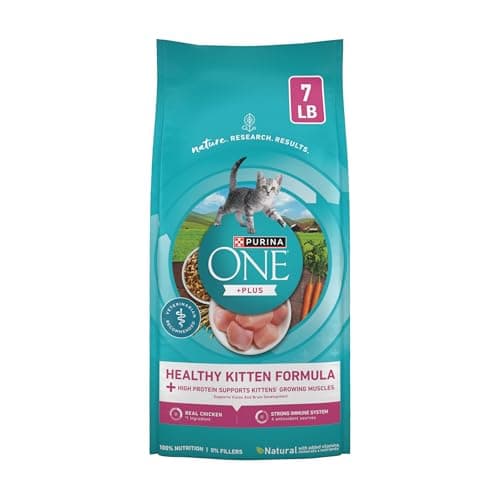Purina ONE High Protein Kitten Food Review – Is It Worth It?