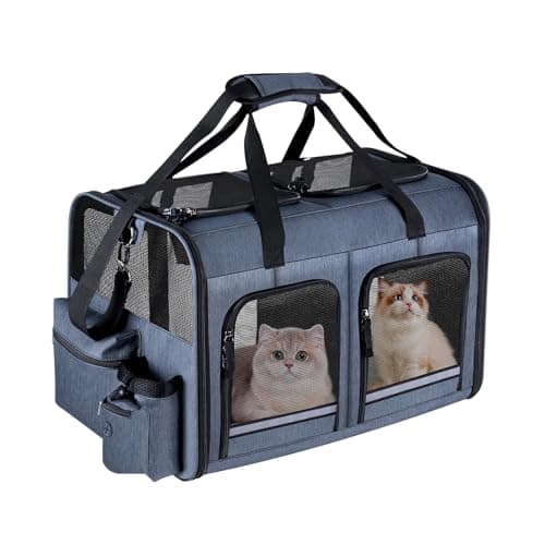 Groxkox Kattenbox Review: Onze Ervaringen Met De Opvouwbare Dubbele Katten- En Hondendrager