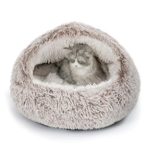 CATISM Plush Hooded Cat Bed Recensione 2024 — La Cuccia Ideale?