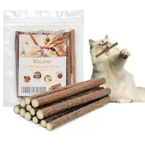 Silvervine Sticks dla Kotów – Recenzja 2025 | Warty Zakupu?