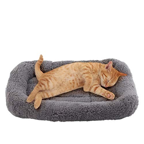Panier pour Chat Molletonné 10" x 15" — Mon Avis Complet