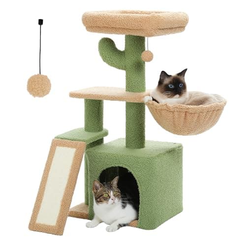 PETEPELA Cactus Cat Tree Review: A 4-in-1 Paradise for Indoor Cats