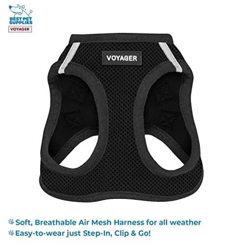 Best Pet Supplies - All Weather Mesh / Plush, Reflective, No Pull Harness for Small, Medium Dogs, Cats - Secure with Hook & Loop Fastener, Buckle, Double D-Rings - Black/Black Trim, M