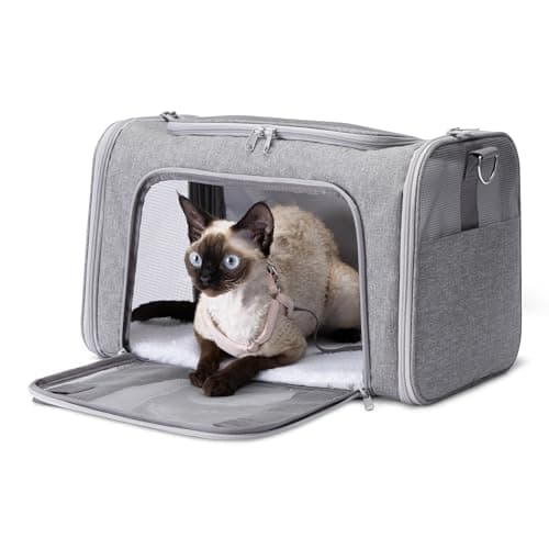 Amazon Basics Katten Draagtas Review 2025 – Eerlijke Test