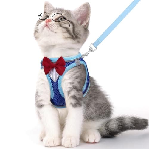 NCMAMA Kattenharnas Review: Escape-Proof & Adembaar voor Katten