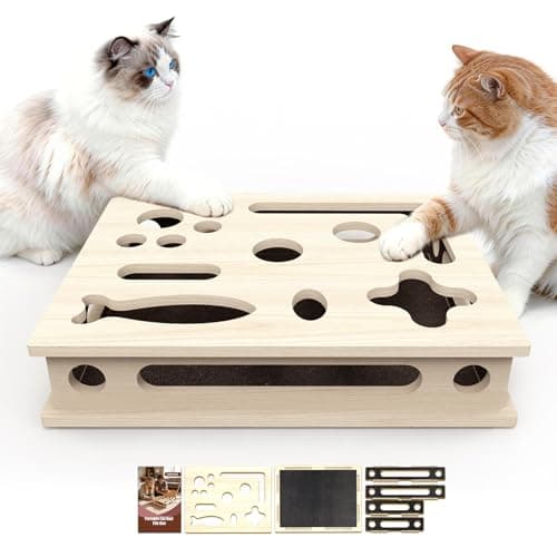 Boîte de Ponçage pour Chat JHMFDDSB : Mon Test Complet