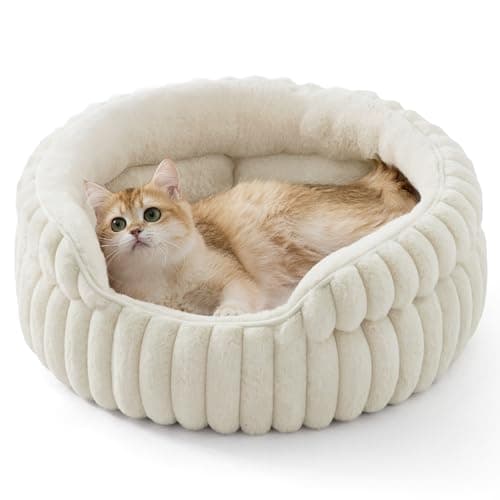 Recensione Bedsure ComfyFleece Cat Bed 2025 – Il Letto Perfetto per il Tuo Gatto?
