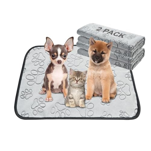 Qeils Puppy Pads Riutilizzabili: Recensione Completa 2024