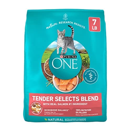 Purina ONE Tender Selects Real Salmon Dry Cat Food Review