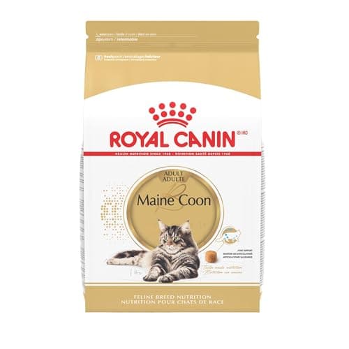 Royal Canin Maine Coon — Recenzja karmy dla dużych kotów rasowych