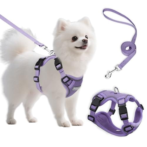 Harnais Ychpaw Petit Chien : Test et Avis Complet 2024