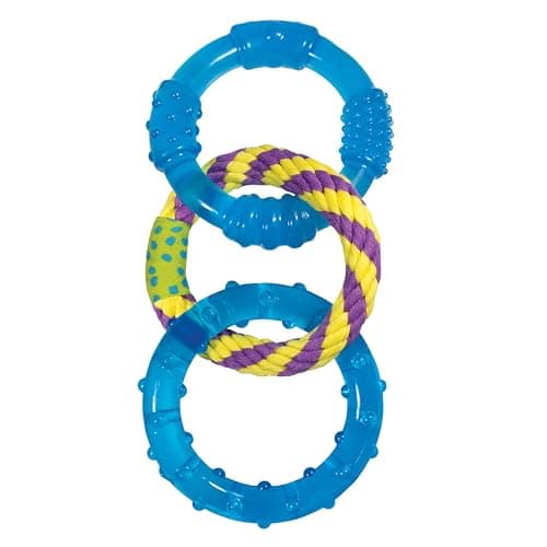 Petstages Dental Links Review: Is This Dog Chew Toy Worth It?