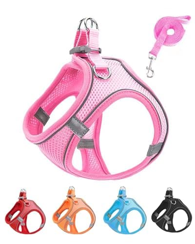 JUFOO Hundegeschirr Test: Soft Mesh Geschirr mit Leine für Katzen & Hunde