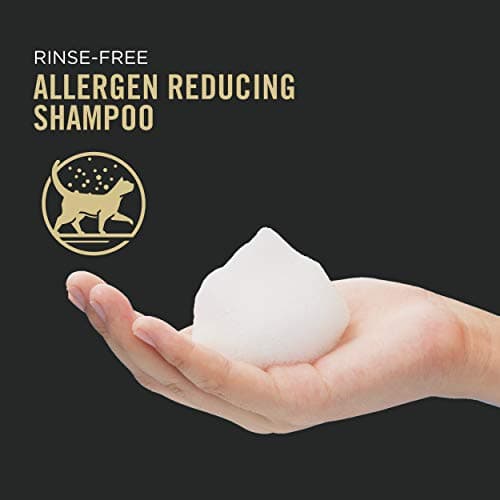 Purina Pro Plan Rinse Free, Allergen Reducing Dry Shampoo for Cats, LIVECLEAR Cleansing Foam - 8.5 oz.